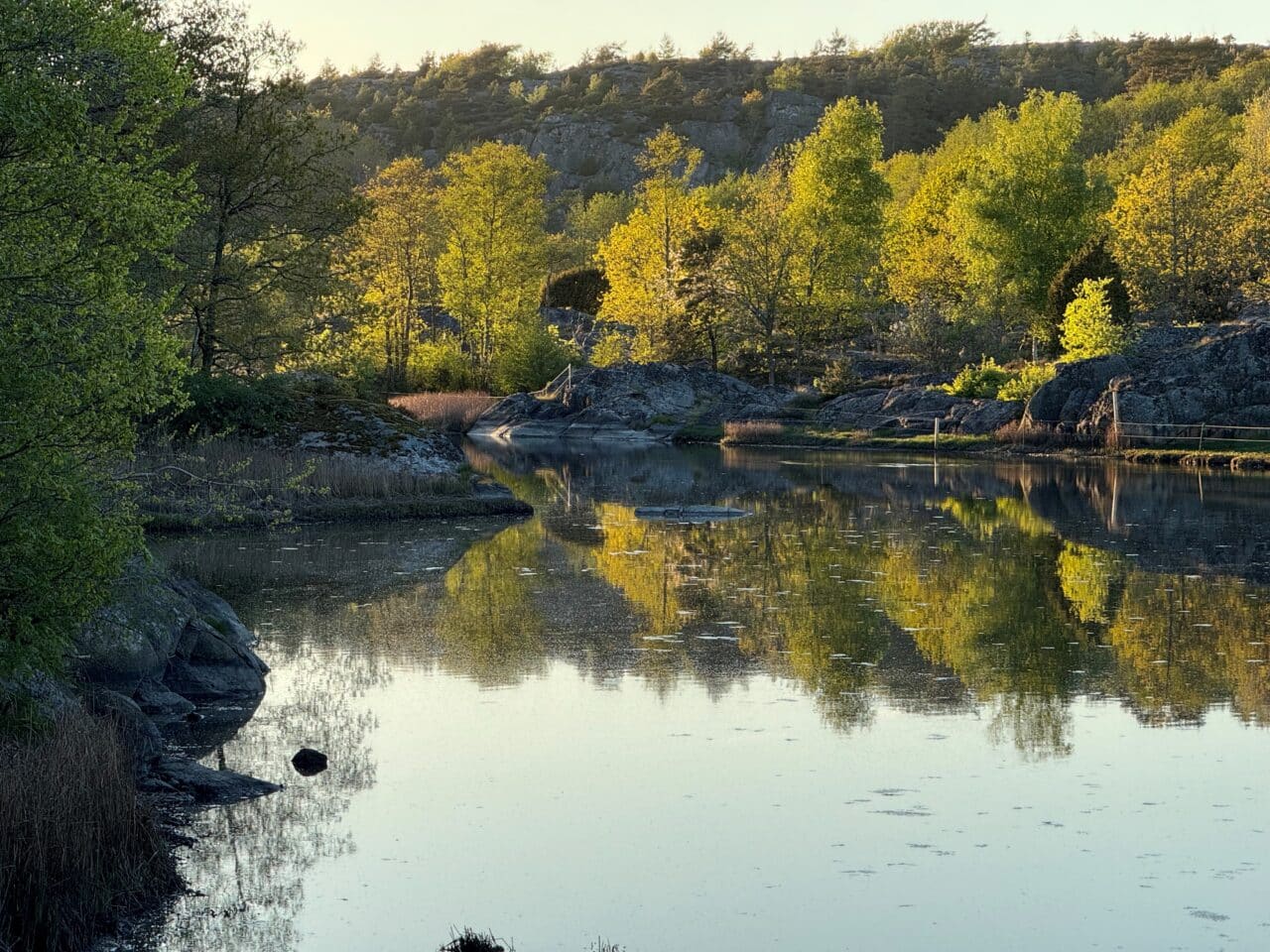 Sjö i Vägeröds naturreservat