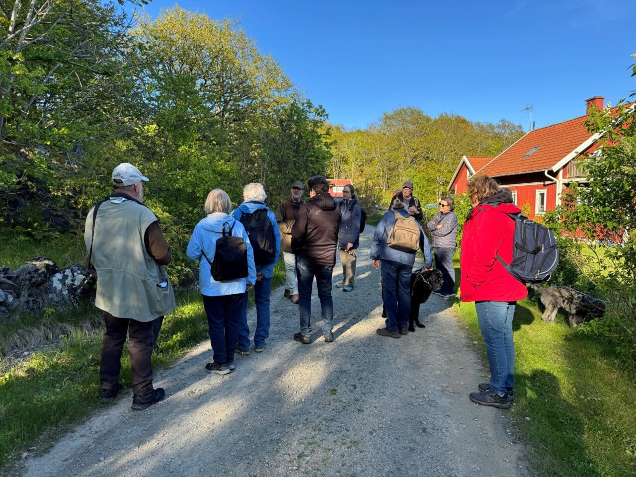 Guidad vandring i Vägeröds dalar
