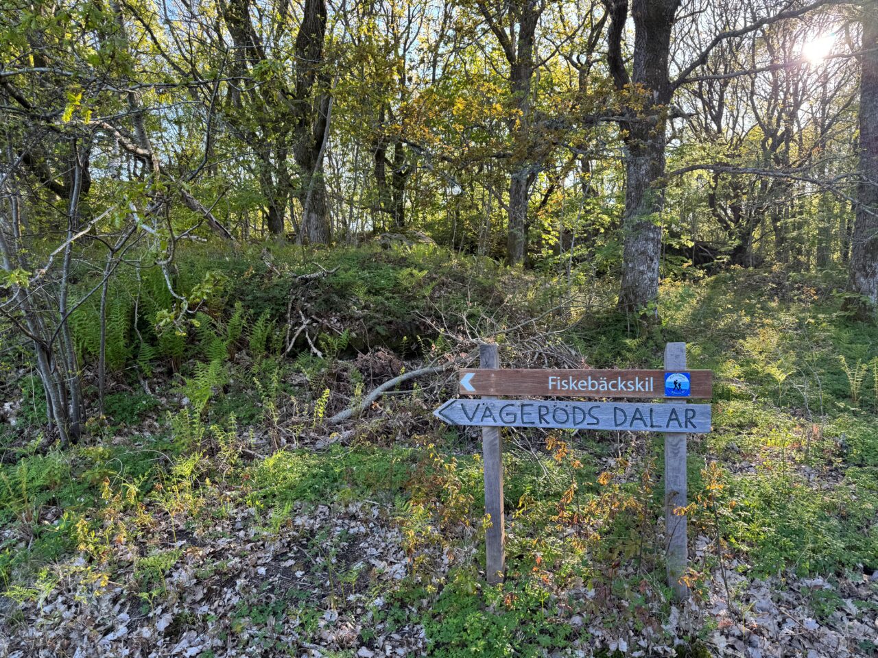 Vandringsled i Vägeröds dalar